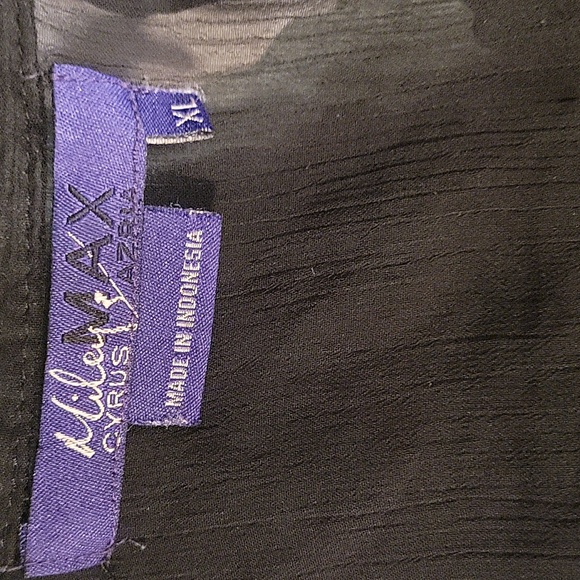 Miley Cyrus Max Azria Sheer Ruffled Blouse - Picture 4 of 4
